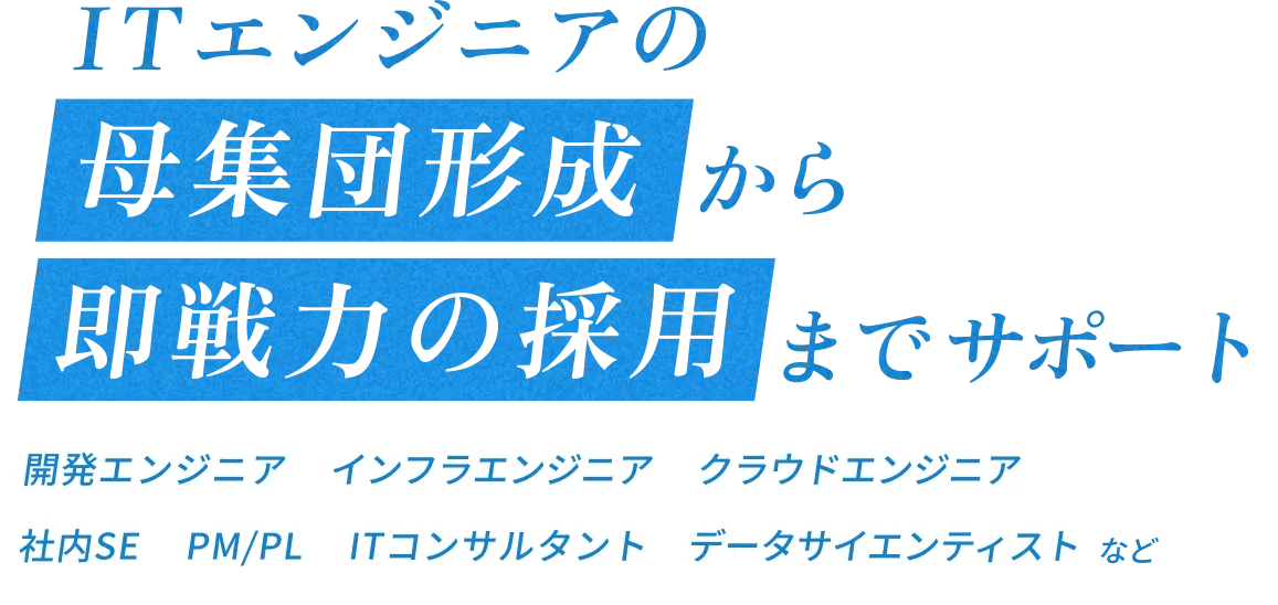 ITエンジニアの母集団形成から即戦力の採用までサポート。開発エンジニア、インフラエンジニア、クラウドエンジニア、社内SE、PM・PL、ITコンサルタント、データサイエンティストなど